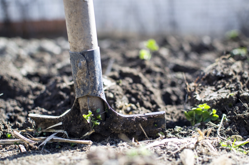 jardinerie-AURIBEAU SUR SIAGNE-min_equipment-2047314